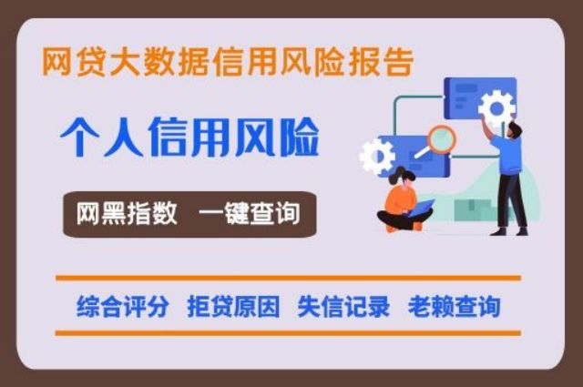 二白数据-综合评分便捷检测平台  二白数据 网贷逾期 网贷黑名单 第1张