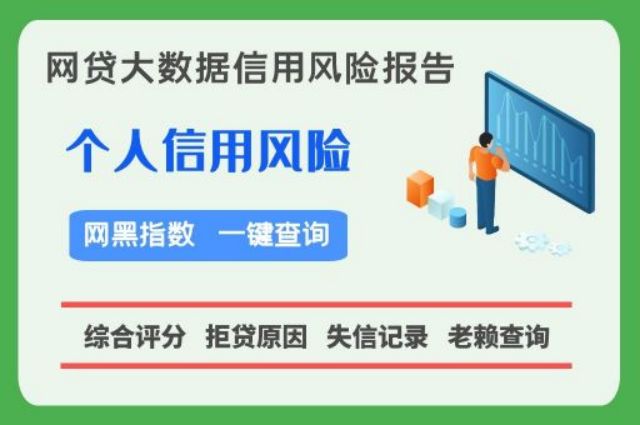 知逸大数据-个人网贷记录快速查询系统