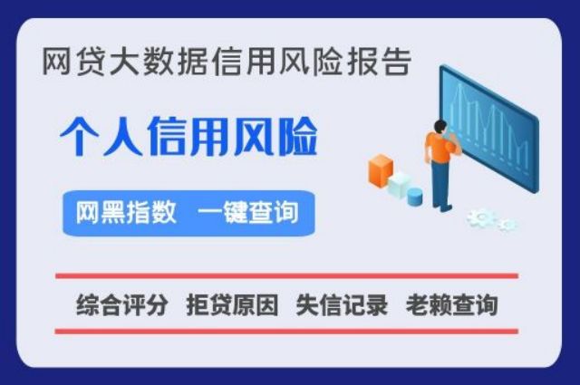 二白数据-网贷信用快速检测系统