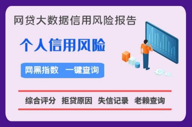 蓝冰数据-个人网贷记录快速查询平台