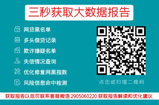 松果查——网贷征信便捷检测中心_蓝冰数据_第3张