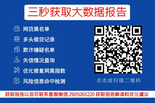 普信查——网贷征信便捷查询入口_蓝冰数据_第3张